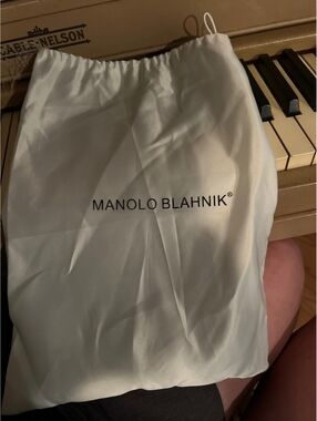 Manolo Blahnik 1 shoe dustbag
